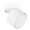 A5549PL-1WH Спот Arte Lamp Intercrus A5549PL-1WH (220V, круглые)