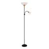 A9569PN-2BK Торшер Arte Lamp Duetto A9569PN-2BK (220V, выключатель)