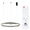 A2183SP-1BK Подвесной светильник Arte Lamp Mercury A2183SP-1BK (регулировка яркости, LED, 220V, пульт управления, на тросе, кольцо)