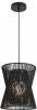 FR5405PL-01B4 Подвесной светильник Freya Cottage FR5405PL-01B4 (220V, на проводе)