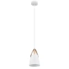 A7032SP-1WH Подвесной светильник Arte Lamp Thomas A7032SP-1WH (220V, на проводе)