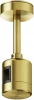 TRA156C-IPC1-BS Крепление потолочное Short 78мм с прямым коннектором питания Flarity латунь Maytoni Accessories for tracks Flarity TRA156С-IPC1-BS