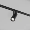 DK6080-BK Трековый светильник однофазный 220V Denkirs Slant DK6080-BK (круглые)