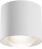 C217CL-15W4K-W Потолочный светильник накладной Maytoni Lens C217CL-15W4K-W (LED, 220V, круглые, IP44)