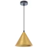 A7033SP-1BK Подвесной светильник Arte Lamp David A7033SP-1BK (220V, на проводе)