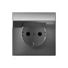 GAL000946S Розетка с заземлением, шторками и крышкой (сталь) Systeme Electric GAL000946S