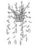 Tavenna H 2.26.638 N Бра Dio D'Arte Tavenna Nickel Tavenna H 2.26.638 N