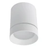 A1909PL-1WH Накладной точечный светильник Arte Lamp Elle A1909PL-1WH (LED, 220V)
