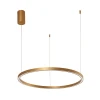 A2223SP-1PB Подвесной светильник Arte Lamp Smooth A2223SP-1PB (LED, 220V, на тросе, кольцо)