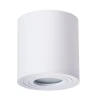 A1460PL-1WH Потолочный светильник уличный Arte Lamp Galopin A1460PL-1WH (220V, круглые, IP44)