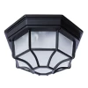 A3100PL-1BK Потолочная люстра Arte Lamp Pegasus A3100PL-1BK (220V, IP44)