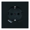 50452 Розетка 1-местная з/ш с/з 16А + USB + Type C (механизм) 250В 20W RST16-3119-05 черный бархат Stekker Мия 50452