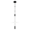 10598B Подвесной светильник светодиодный Loft It Flamingo 10598B