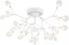 FR5049CL-27W2 Потолочная люстра Freya Florencia FR5049CL-27W2 (220V, лепестки)