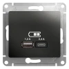 GSL000739 Розетка USB Type A+С (антрацит) Systeme Electric GSL000739