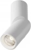 C027CL-L10W4K Накладной потолочный светильник Dafne 4000K 1x10Вт 38° LED Maytoni Technical C027CL-L10W4K (220V, круглые)