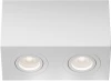C017CL-02W Потолочный светильник Atom GU10 2x50Вт Maytoni Technical C017CL-02W (220V)