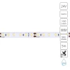A2412008-06-6K Светодиодная лента 24V 9,6W/m 6000К 5м Arte Lamp Aqua Tape A2412008-06-6K