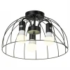 SY5128 Потолочный светильник Lussole Латис SY5128