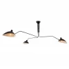 L05603 Потолочная люстра L'Arte Luce Spider L05603