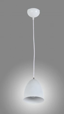 Подвесной светильник Arti Lampadari Torre E 1.3.P1 W (220V, на проводе, круглые)