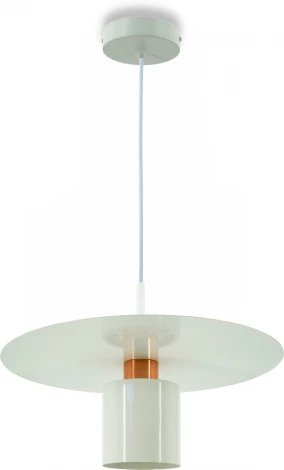 Подвесной светильник Lightera Onitsha LE144L-35W (220V, на проводе, круглые)