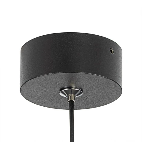Подвесной светильника (+BL6025BK) черный Citilux Duza CL51711_BL