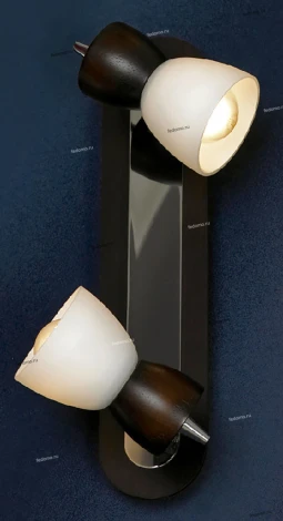 Настенный светильник Lussole Messina LSL-8201-02