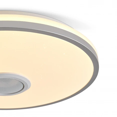 Потолочный светильник светодиодный умный дом Freya Rond FR6226CL-L36W 38Вт LED