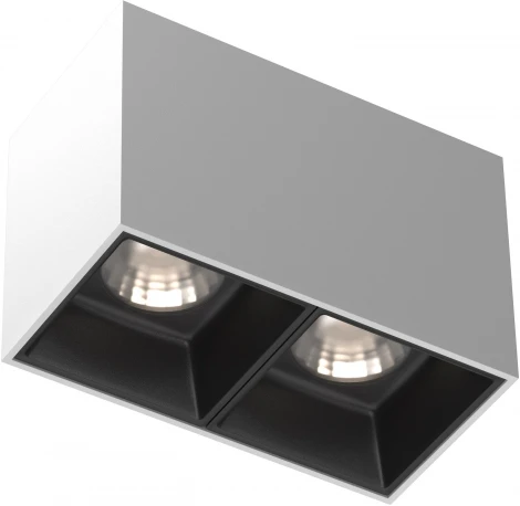 Потолочный светильник Maytoni Alfa LED C065CL-02-L12W4K-W 4000K 2x12W