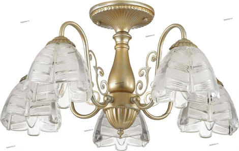 Потолочная люстра Lumion Jelis 3460/5C