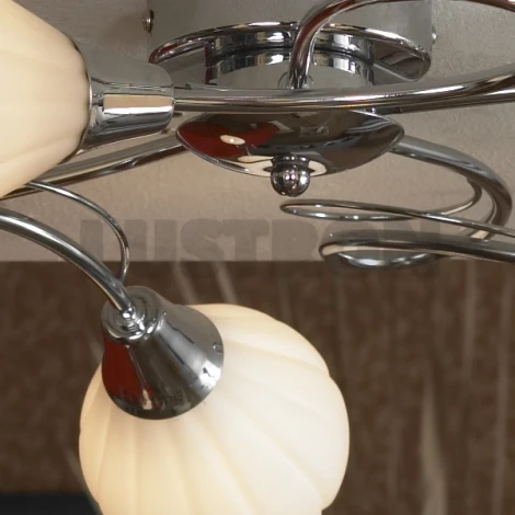 Потолочная люстра Lussole Abriola LSC-8303-05