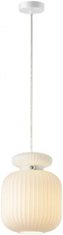 Подвесной светильник Odeon Light Jugi 5042/1C PENDANT белый/белый/металл/стекло/эко.кожа E27 1*60W