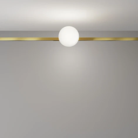 Трековый светильник магнитный модульный светодиодный LED 5W 24V 4000K Maytoni Technical Luna Technical TR229-1-5W4K-BS