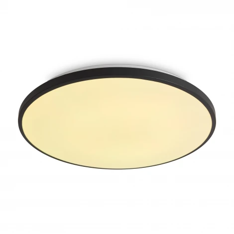 Потолочный светильник светодиодный Freya Obelle FR6211CL-L24B 24Вт LED