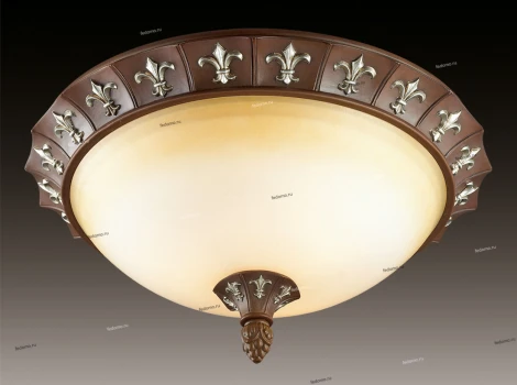 Потолочный светильник Odeon Light Ridera 2784/3C