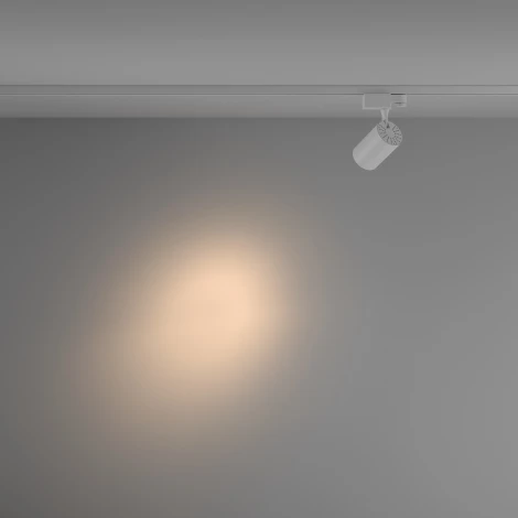 Трековый светильник Vuoro Trinity 3000K 10Вт 24° LED (трехфазный) Maytoni Technical TR029-3-10W3K-S-W
