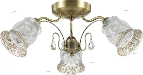 Потолочная люстра Lumion Rakella 3415/3C