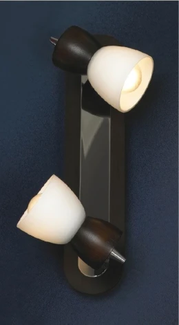 Настенный светильник Lussole Messina LSL-8201-02