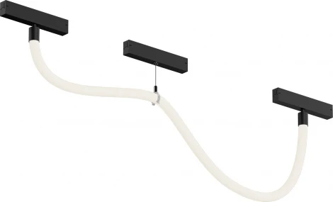 Трековый светильник с гибким неоном 220 Denkirs Smart Ray DK8060-BK (LED, пульт управления)
