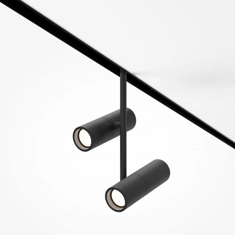 Трековый светильник магнитный 48V Maytoni Elti Duo TR005-2-2X12W3K-B (LED, круглые)