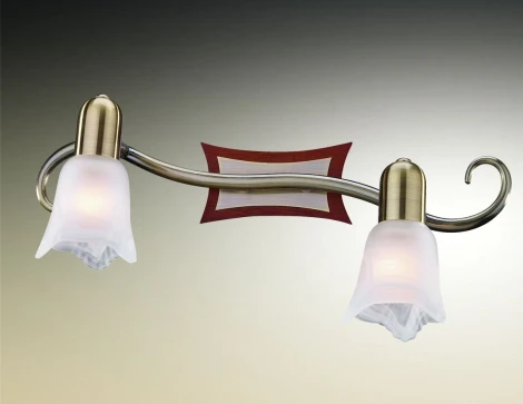 Спот Odeon Light Ilsa 1968/2W