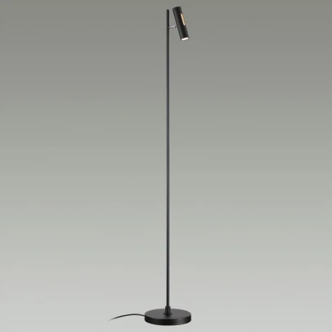 Торшер Odeon Light Mali 6643/5FL IP20 LED 6W 3000K 220V черный/металл/акрил (диммер, выключатель)