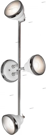 Спот Lussole Loft Littleton LSN-6201-03