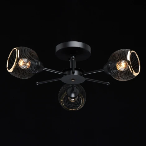 Потолочная люстра MW-Light Вита 220011903