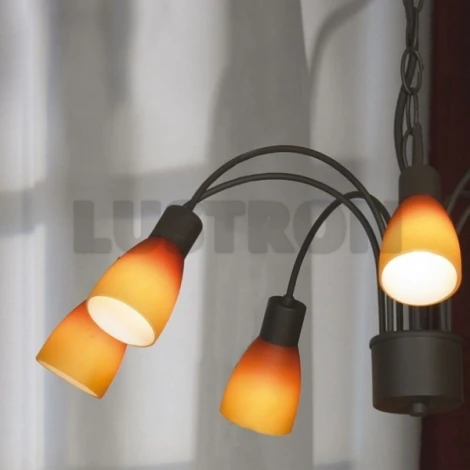 Подвесная люстра Lussole Raccolana LSQ-8503-07
