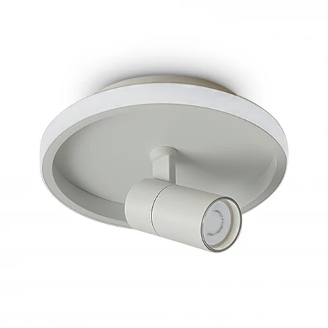 Потолочный светильник со спотом Freya Neo FR6040CL-L14W