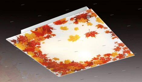 Настенно-потолочный светильник Sonex Autunno 2254