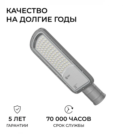 Уличный консольный светильник светодиодный 50Вт 5000лм 5000К IP66 КСС "Ш" серый OGM O29-01