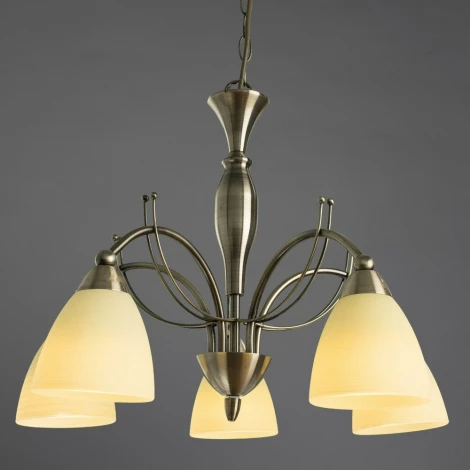 Подвесная люстра Arte Lamp Panna A8612LM-5AB